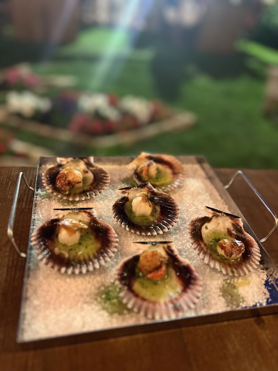 Moriarty Gintonic Club-8